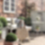 10 MILL ROAD GARDEN2.jpg